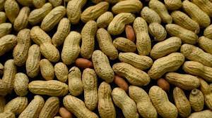 Peanut Nuts Rs100